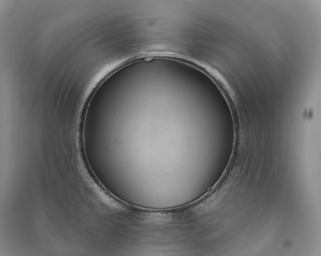 X0000090981333200708161848