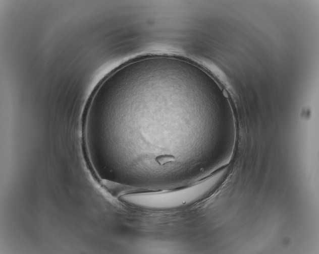 X0000090981335200708161848
