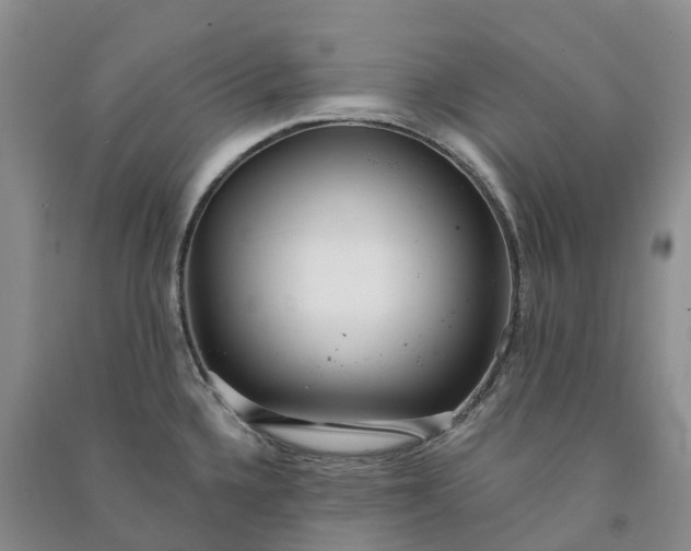 X0000090981336200708161848