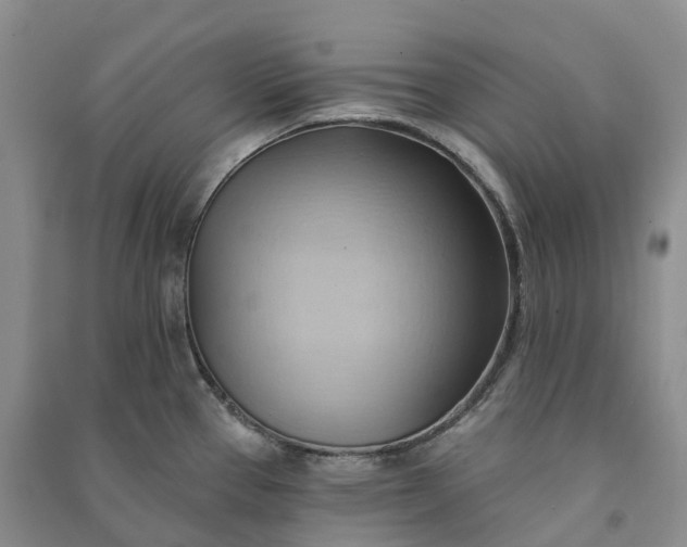 X0000090981337200708161848