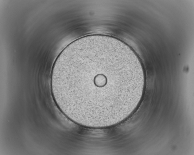 X0000090981338200708161848
