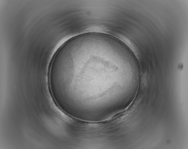 X0000090981339200708161848