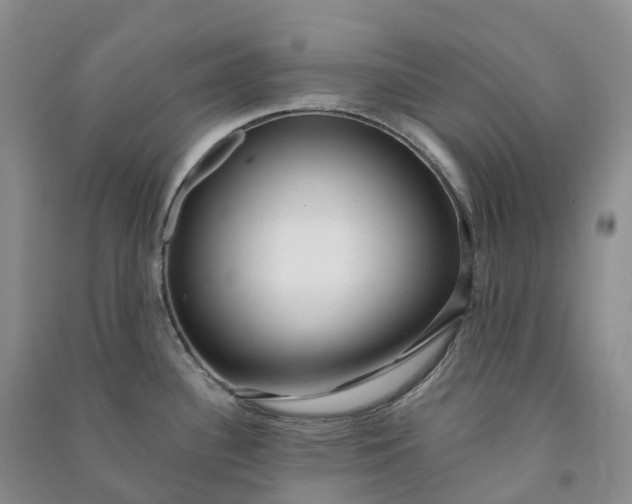 X0000090981340200708161848