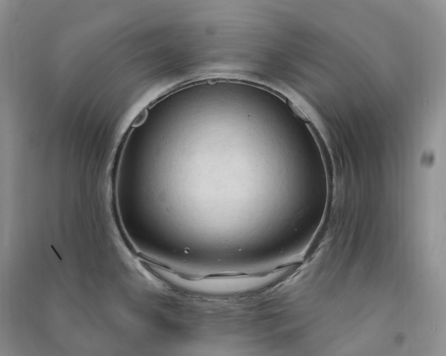 X0000090981341200708161848