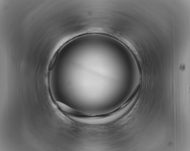 X0000090981342200708161848