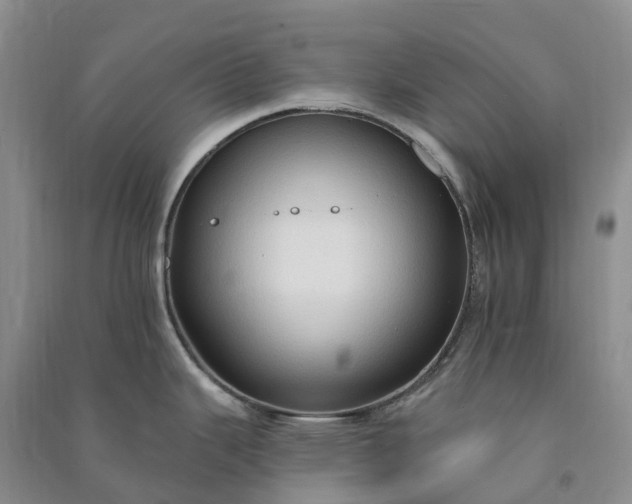 X0000090981343200708161848