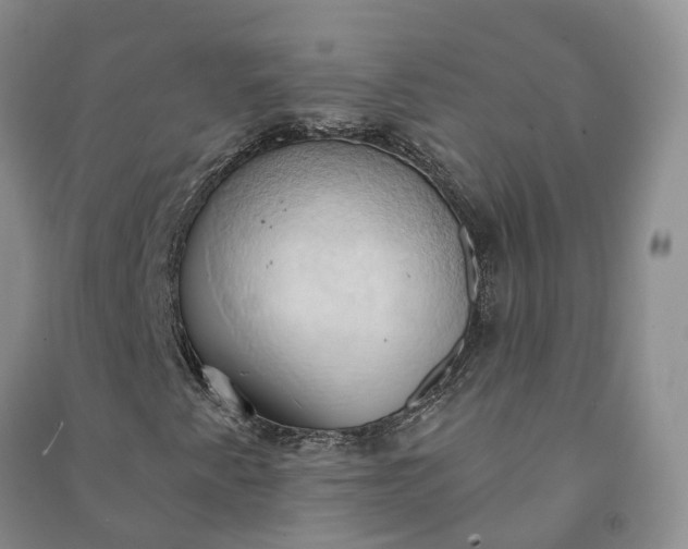 X0000090981345200708161847