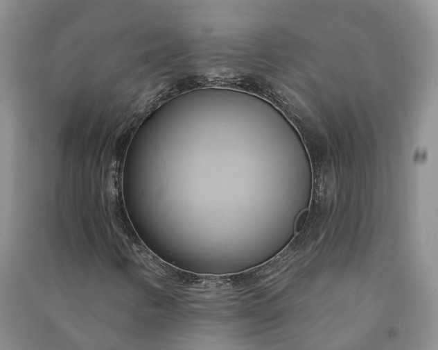 X0000090981346200708161847