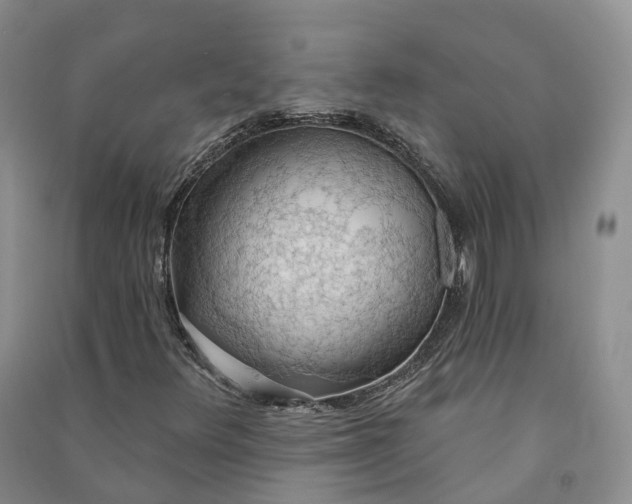 X0000090981348200708161847