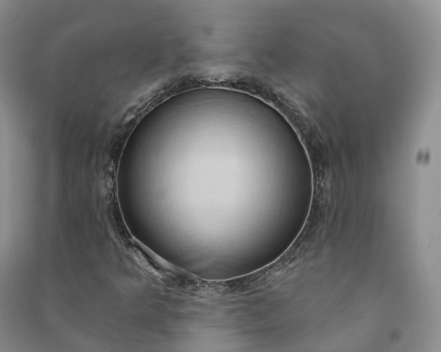 X0000090981349200708161847