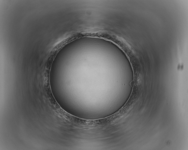 X0000090981350200708161847