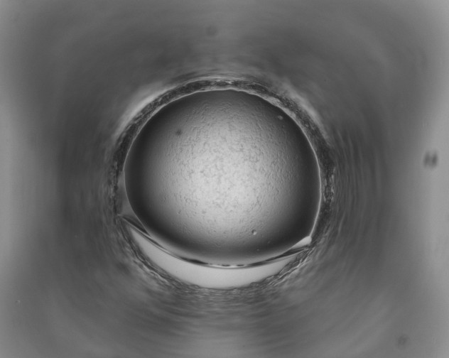 X0000090981352200708161847