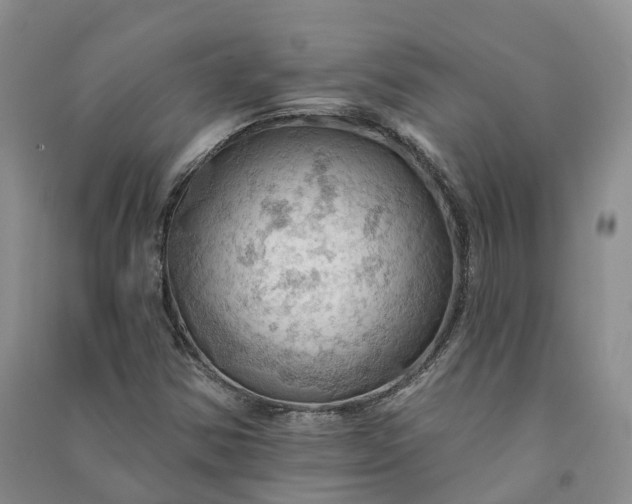 X0000090981354200708161847