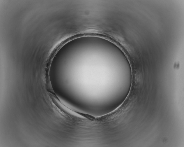 X0000090981356200708161847
