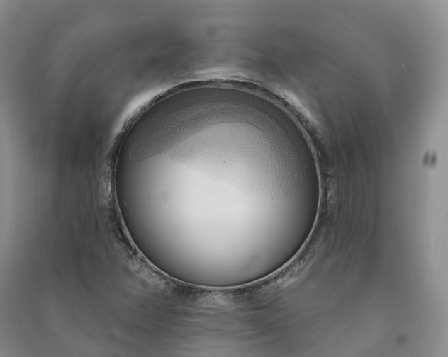 X0000090981358200708161847