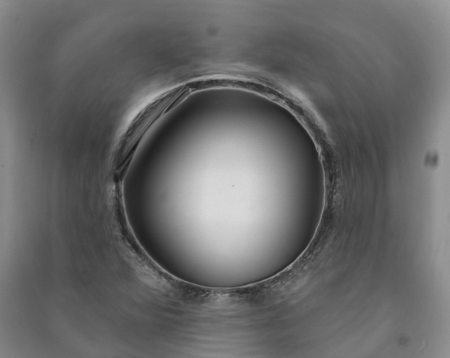X0000090981360200708161847