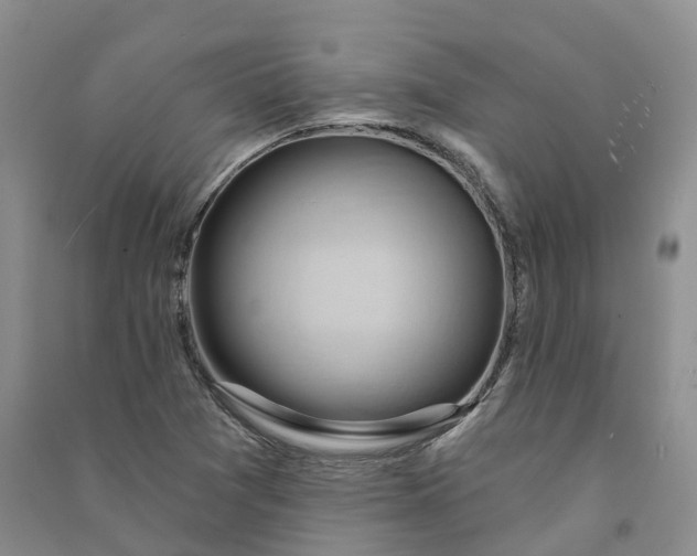 X0000090981361200708161847