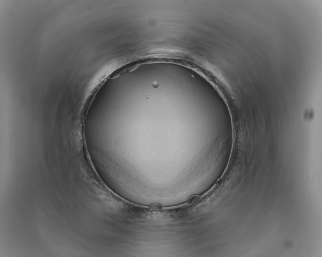 X0000090981362200708161847