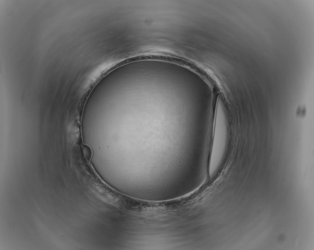 X0000090981363200708161847