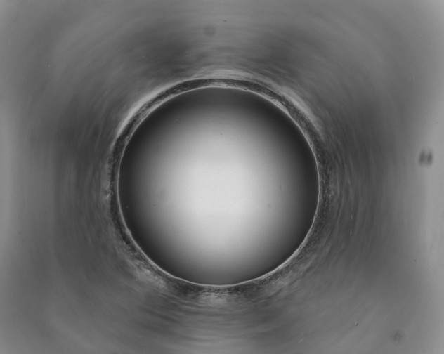 X0000090981364200708161847