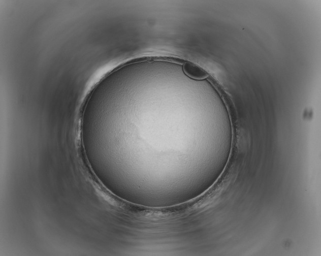 X0000090981366200708161847