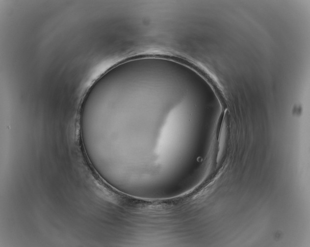 X0000090981367200708161847