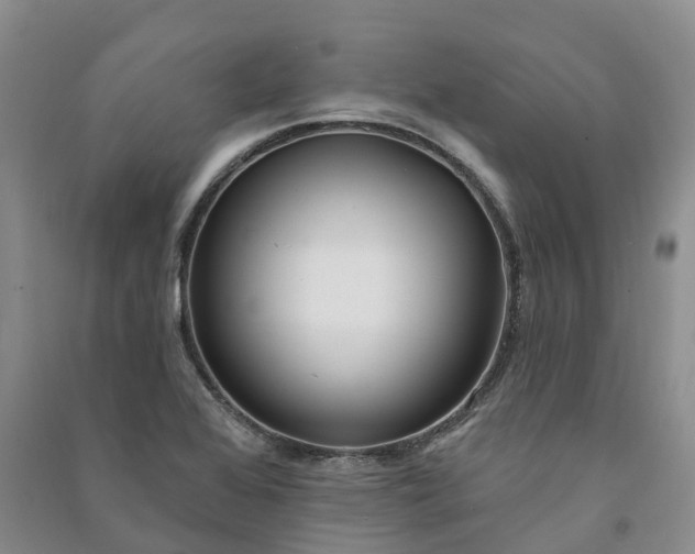 X0000090981368200708161847