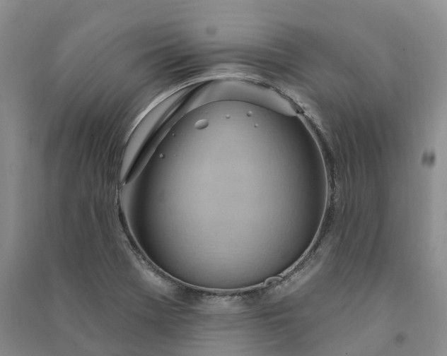 X0000090981369200708161847