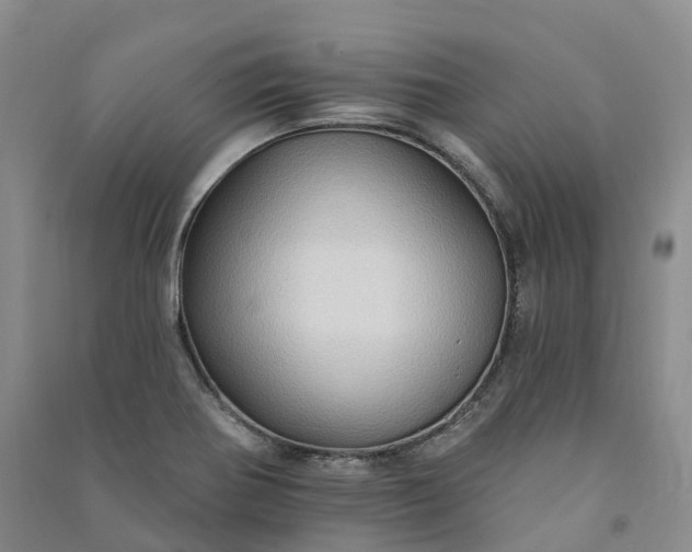 X0000090981370200708161847