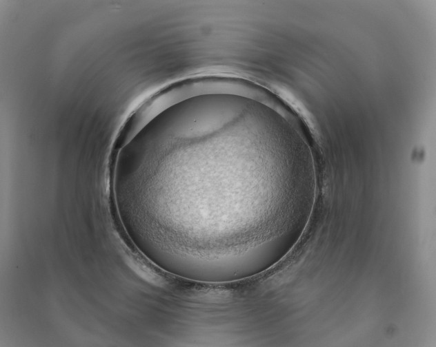 X0000090981372200708161847
