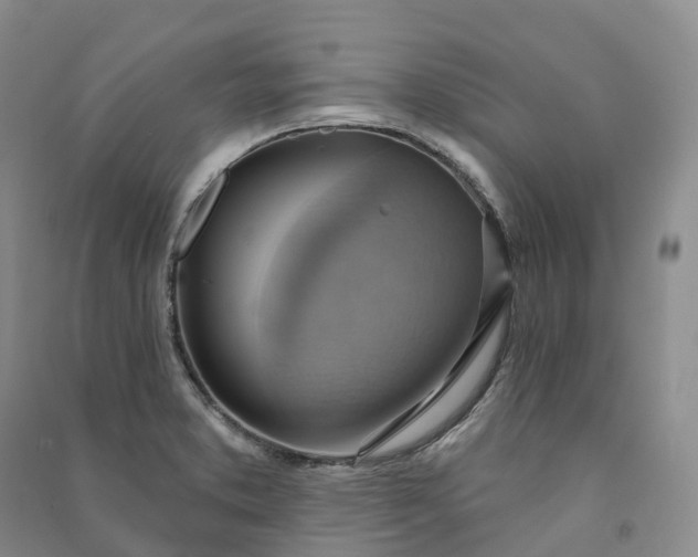 X0000090981373200708161847
