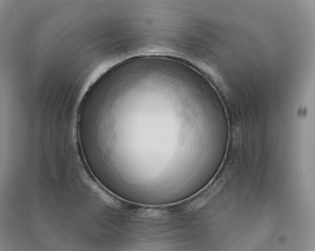 X0000090981374200708161847