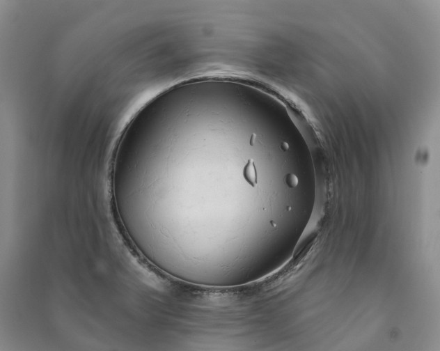 X0000090981375200708161847