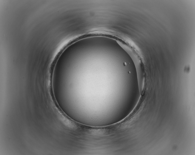 X0000090981376200708161847