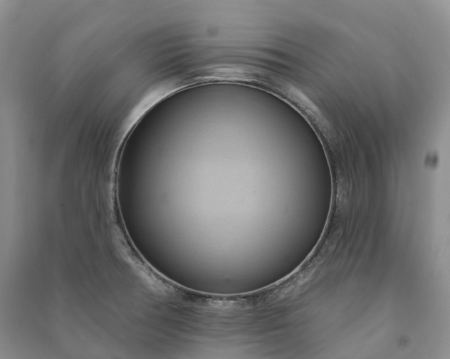 X0000090981378200708161847