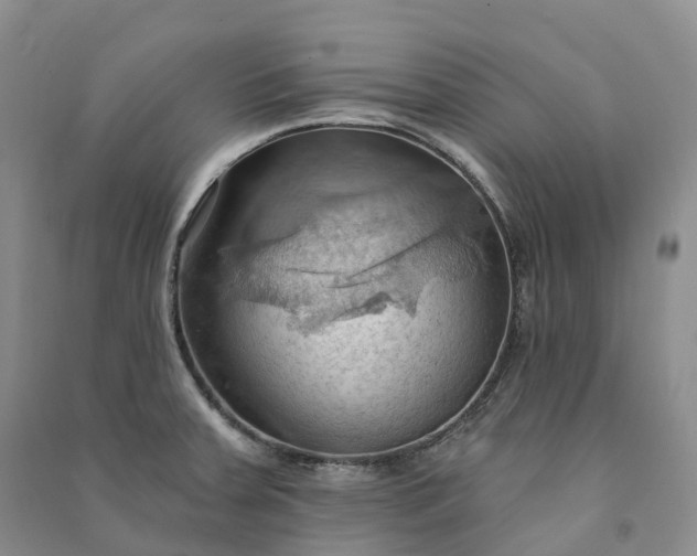 X0000090981379200708161847