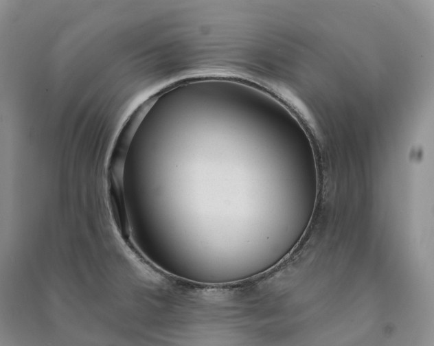 X0000090981380200708161847