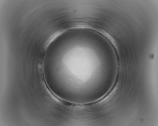 X0000090981385200708161847