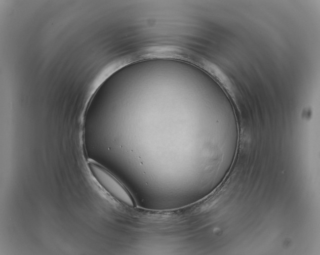 X0000090981386200708161847