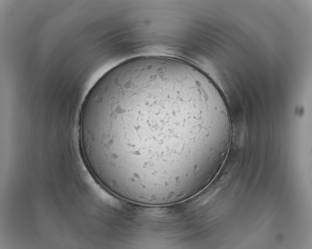 X0000090981387200708161847