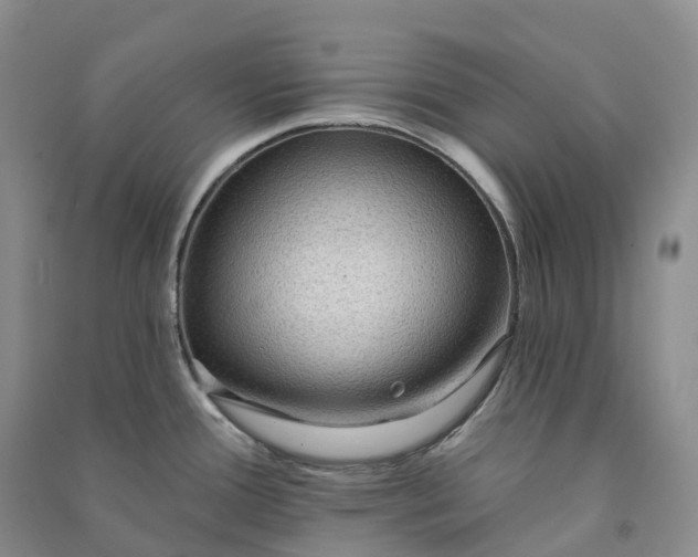 X0000090981388200708161847