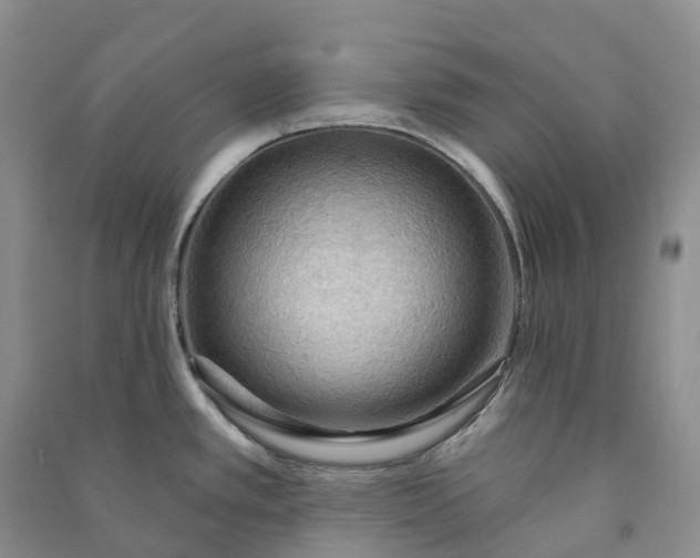 X0000090981389200708161847