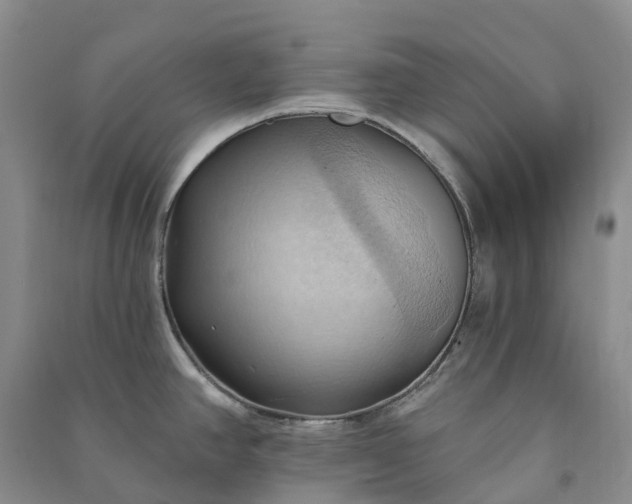 X0000090981390200708161847