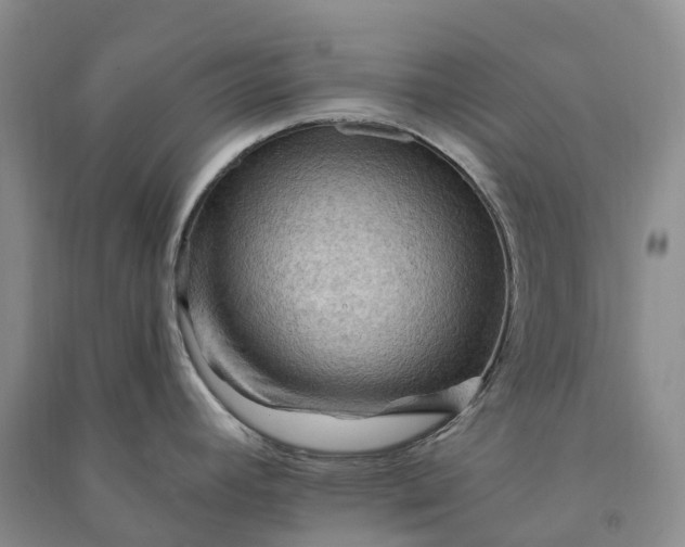 X0000090981392200708161847