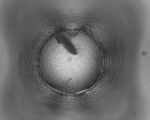 X0000090981393200708161846