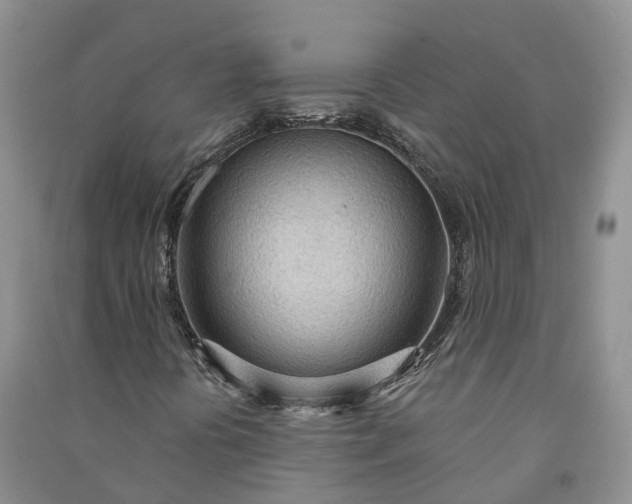 X0000090981394200708161846