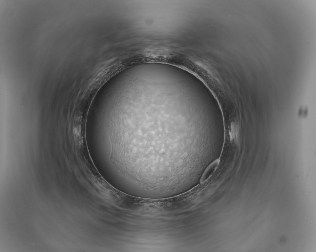 X0000090981396200708161846
