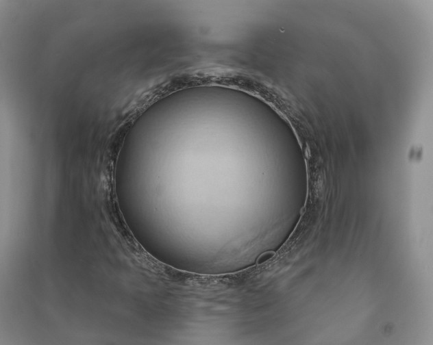 X0000090981397200708161846