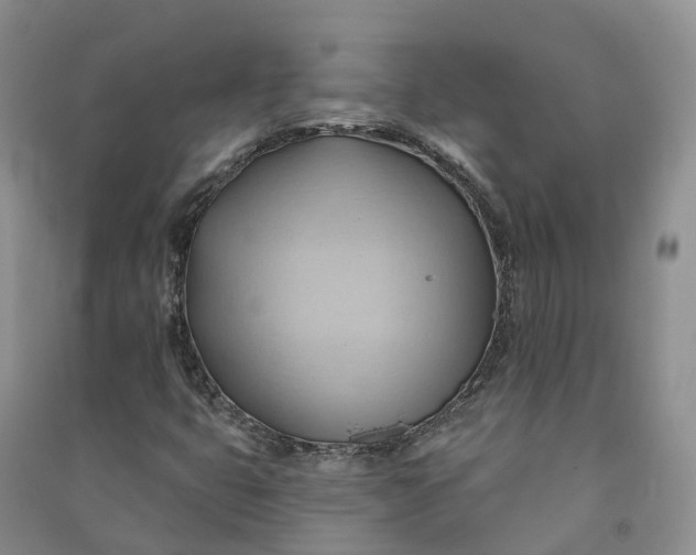 X0000090981399200708161846