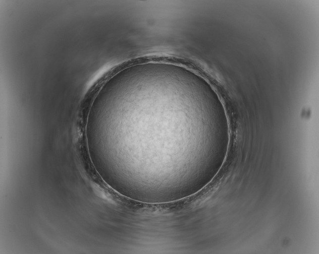 X0000090981400200708161846